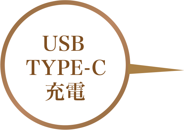 Type-C端子