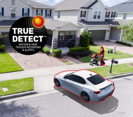 True Detect 熱＋動体検知