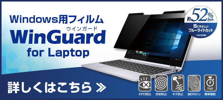 WinGuard Laptop